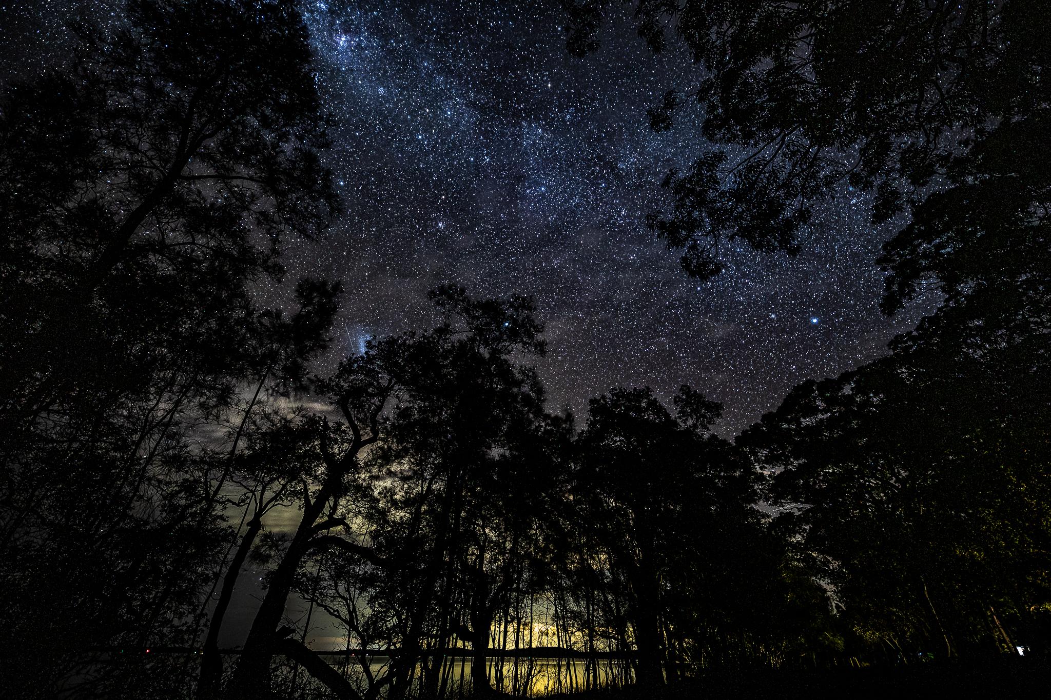 Figure 3 - Milky Way framed by trees with distant town glow on the lake as ground reference.